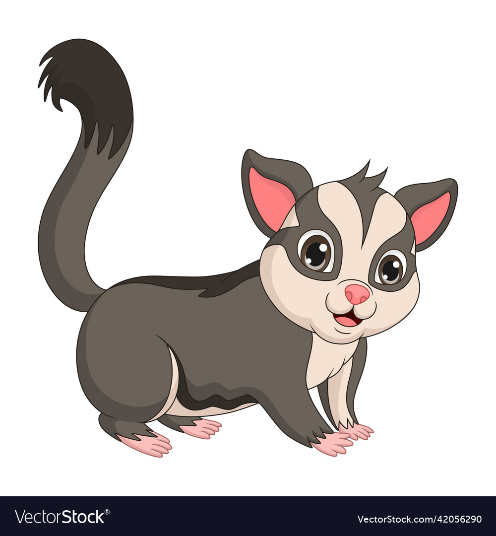 Cartoon funny sugar glider posing Royalty Free Vector Image