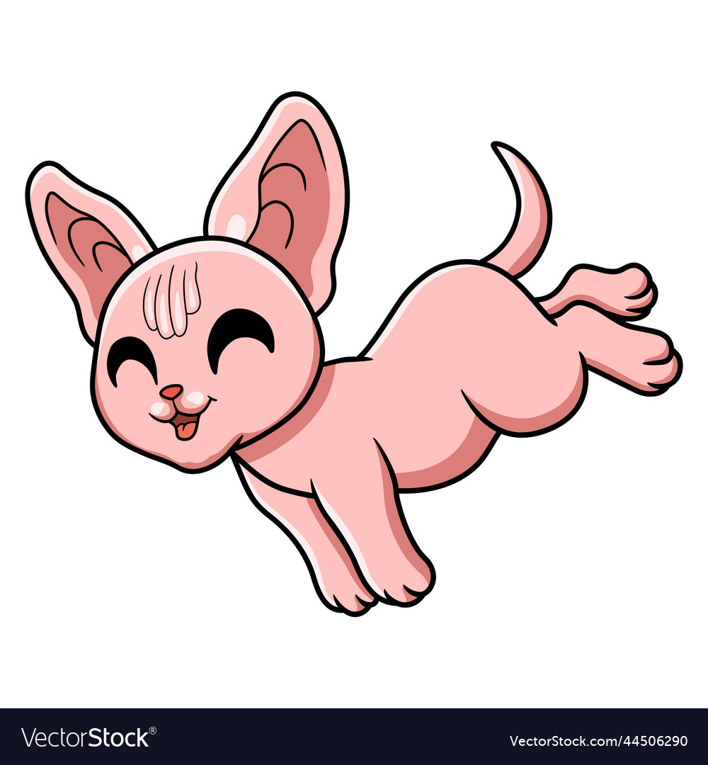 Cute sphynx cat cartoon jumping Royalty Free Vector Image Cute sphynx cat cartoon jumping Royalty Free Vector Image