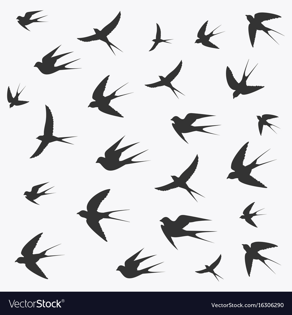 Elegant Martlet
