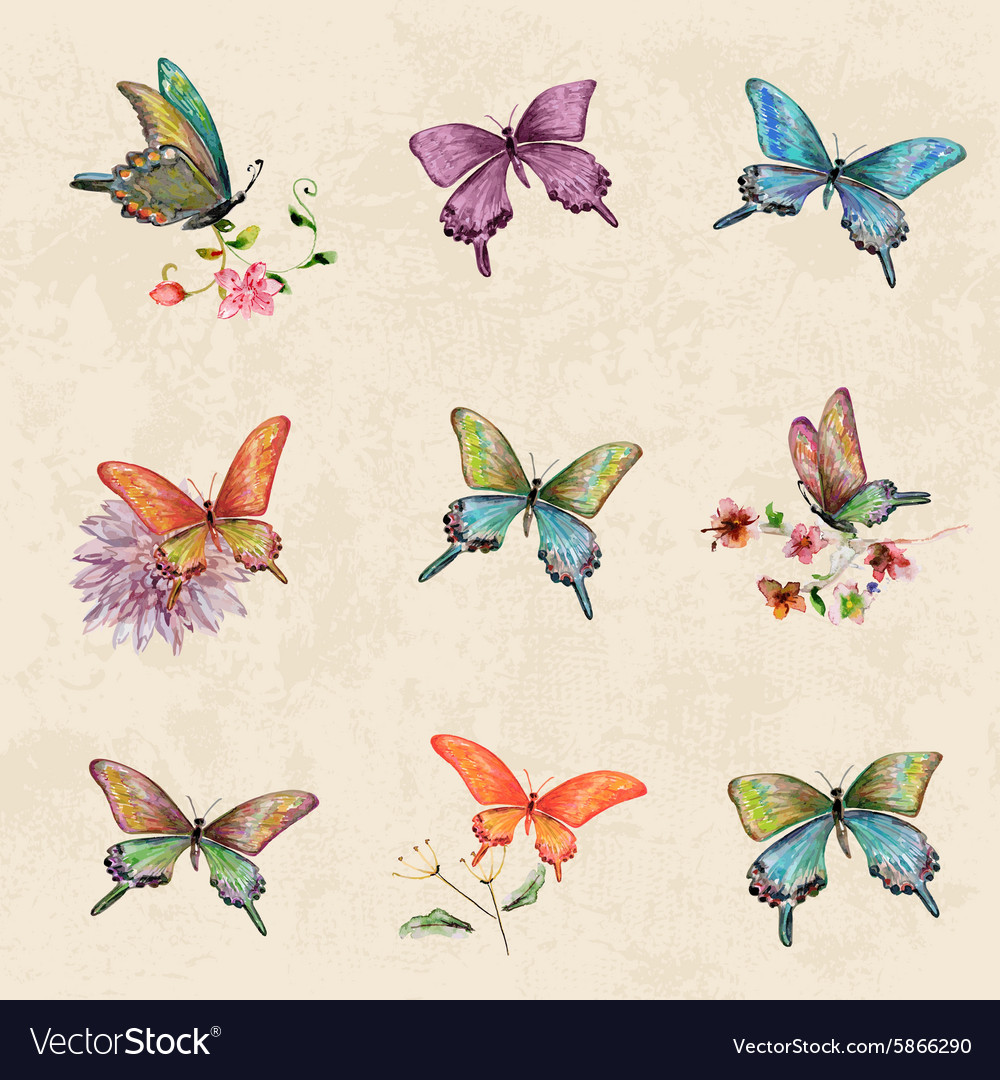 Watercolor Butterfly Collection