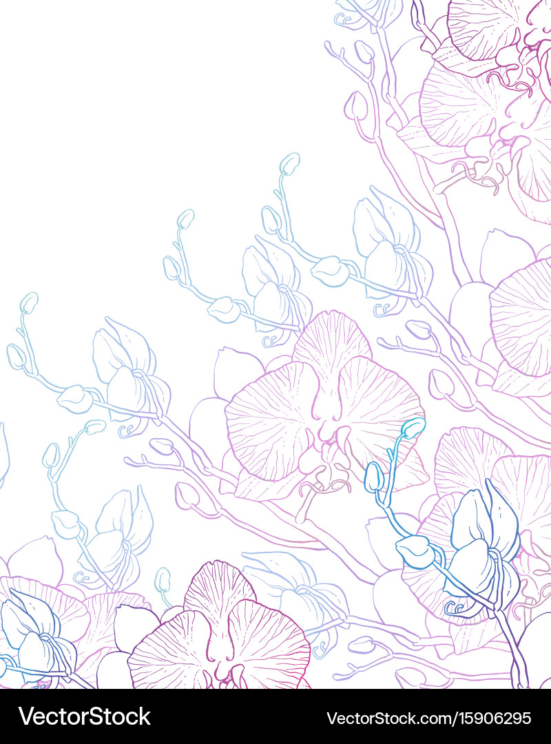 Background with orchids Royalty Free Vector Image