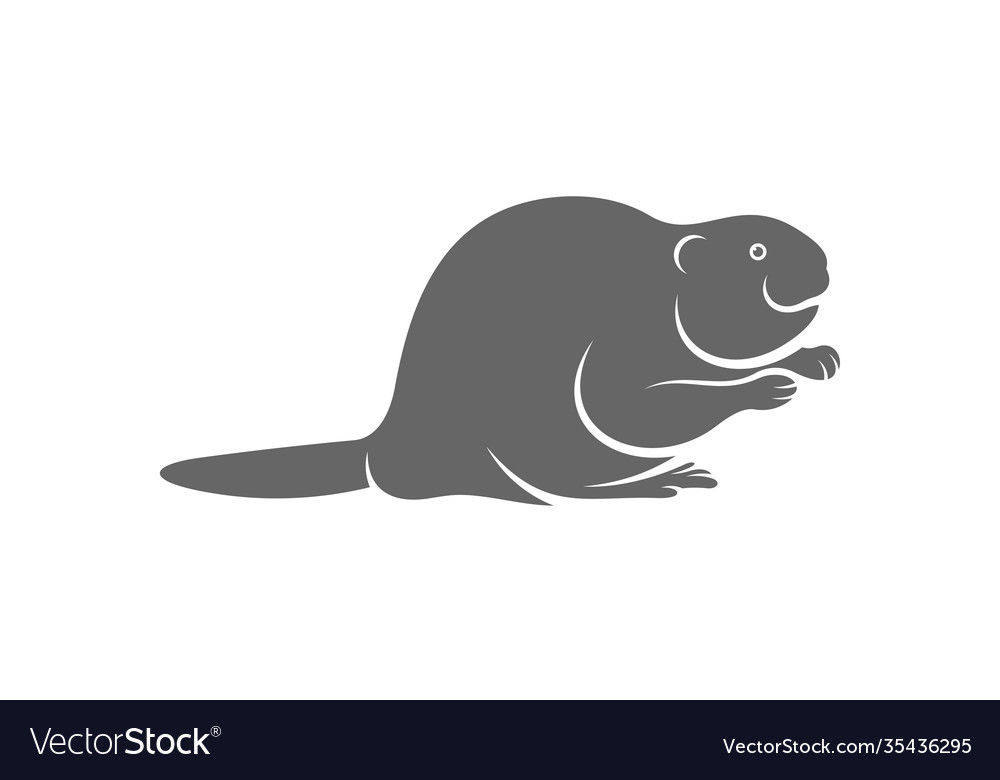 Beaver logo creative design concepts