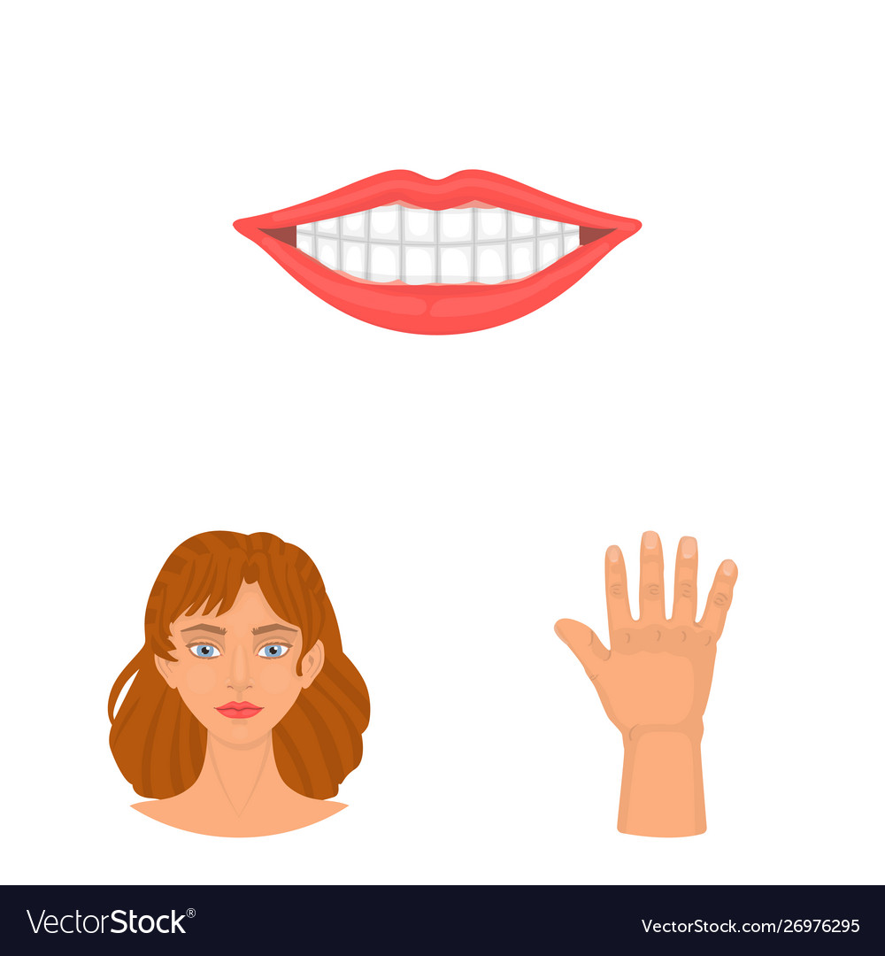 Isolated object body and part sign set