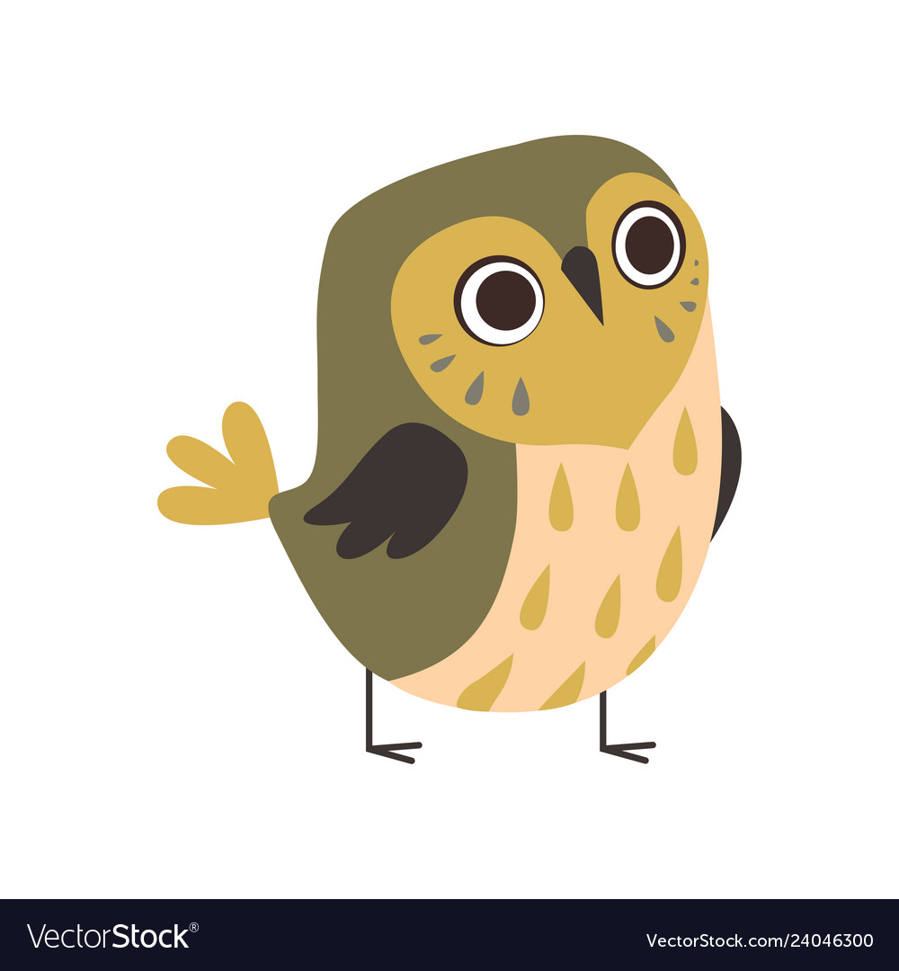 Cute adorable owlet bird cartoon character Vector Image