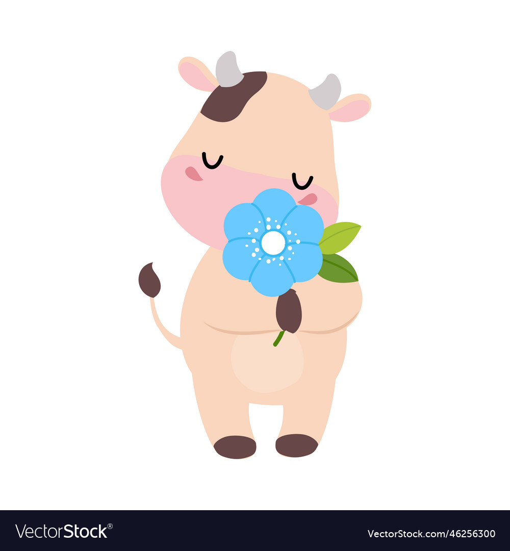 Cute happy spotted baby cow smelling flower Vector Image