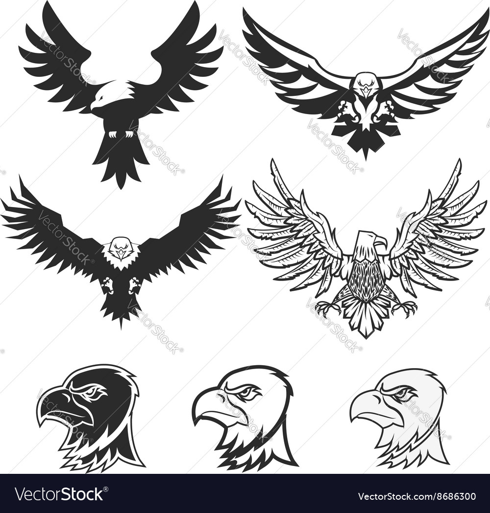 Set of eagles Design elements for logo label Vector Image