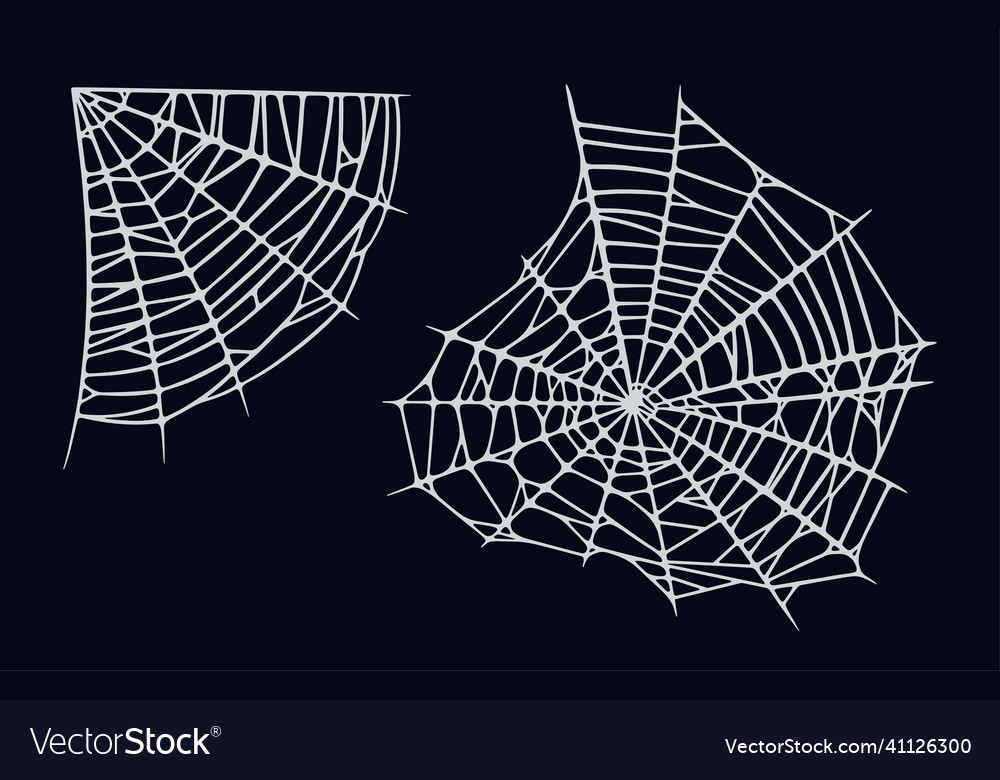 Spider web set isolated on black background vector image Spider web set isolated on black background