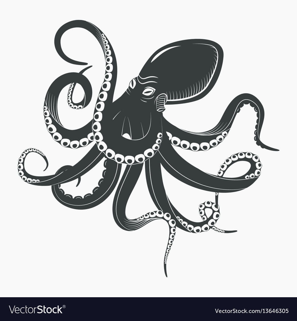 Ocean octopus or underwater squid Royalty Free Vector Image