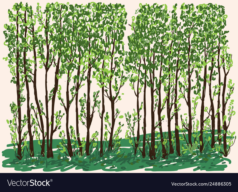 Springtime Tree Line