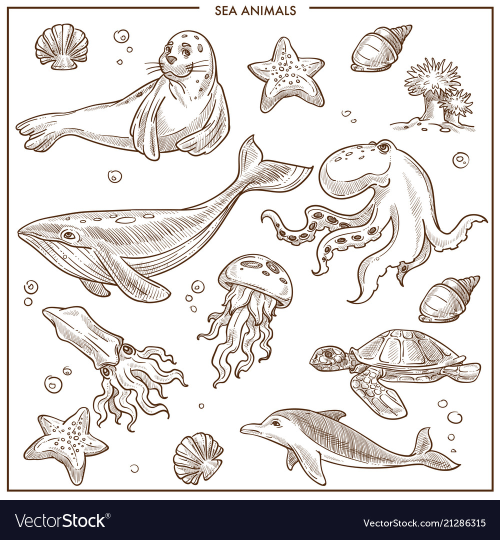 Premium Vector  Sea animal under water hand drawing vector set element  cute animal nursery drawing outline logo symbol sea creature of crab  fish whale turtle seahorse starfish