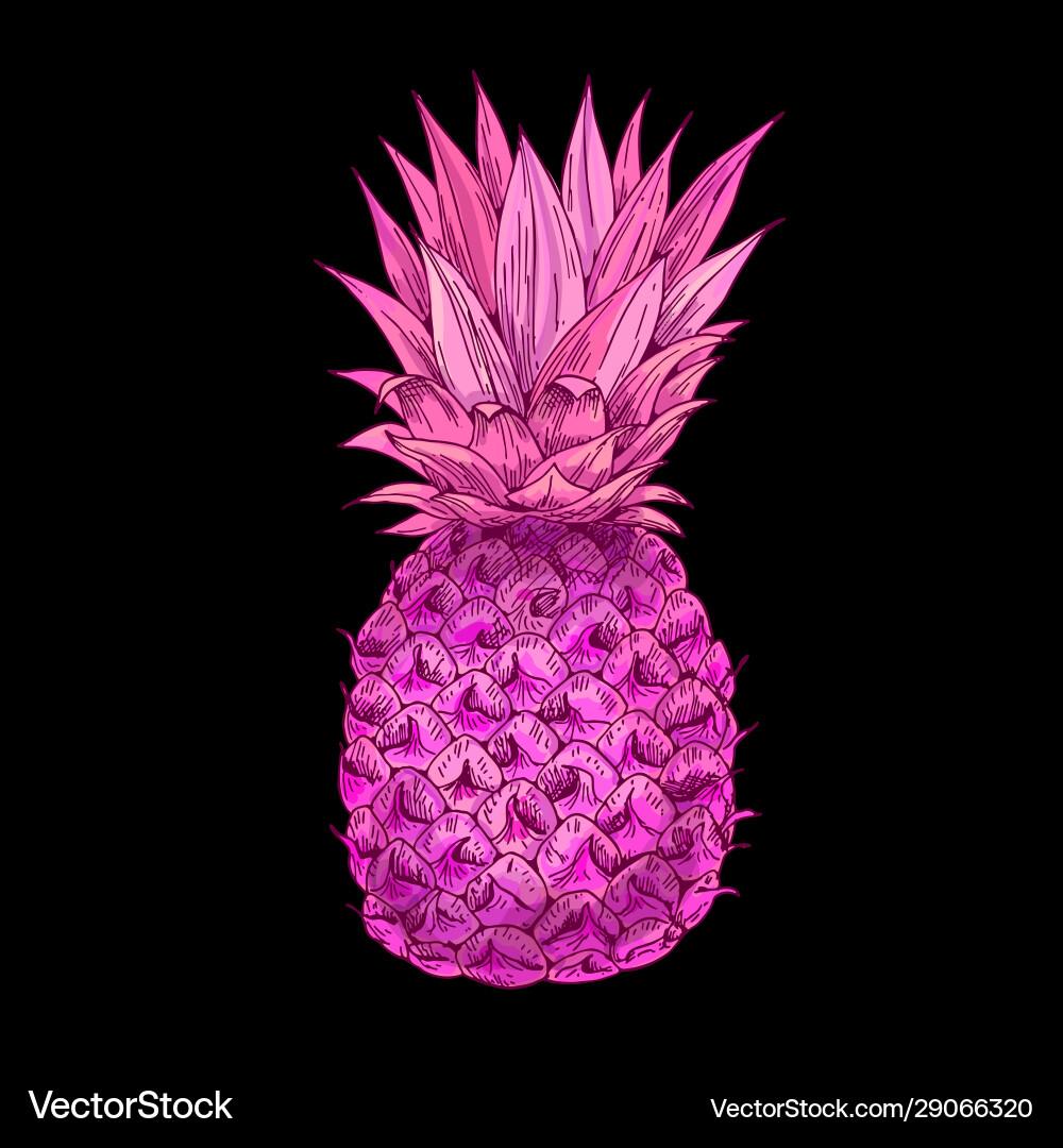Bright pink pineapple on black bg full color Vector Image
