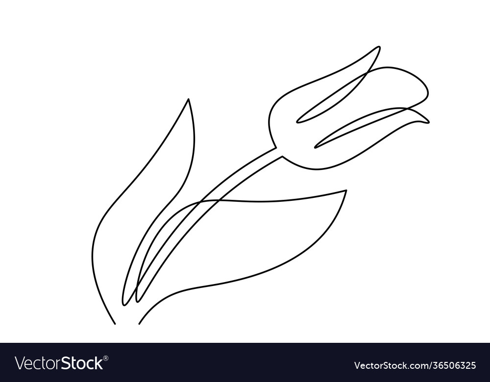 One line tulip flower element black and white Vector Image