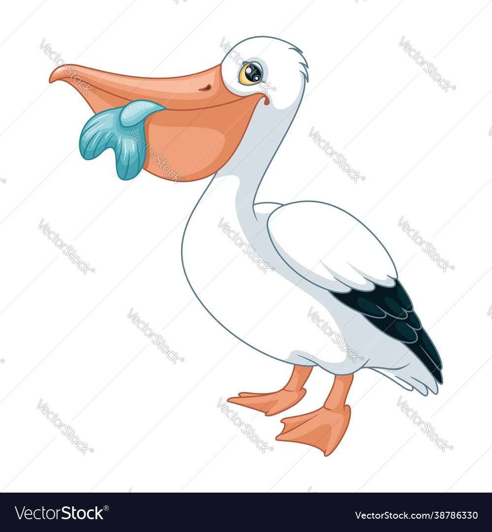 Australian pelican with fish in its beak Vector Image