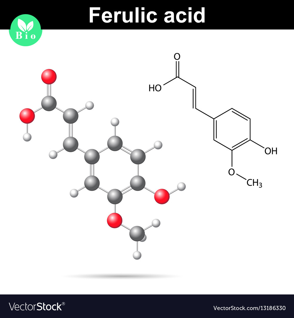 Ferulic acid chemical molecule Royalty Free Vector Image