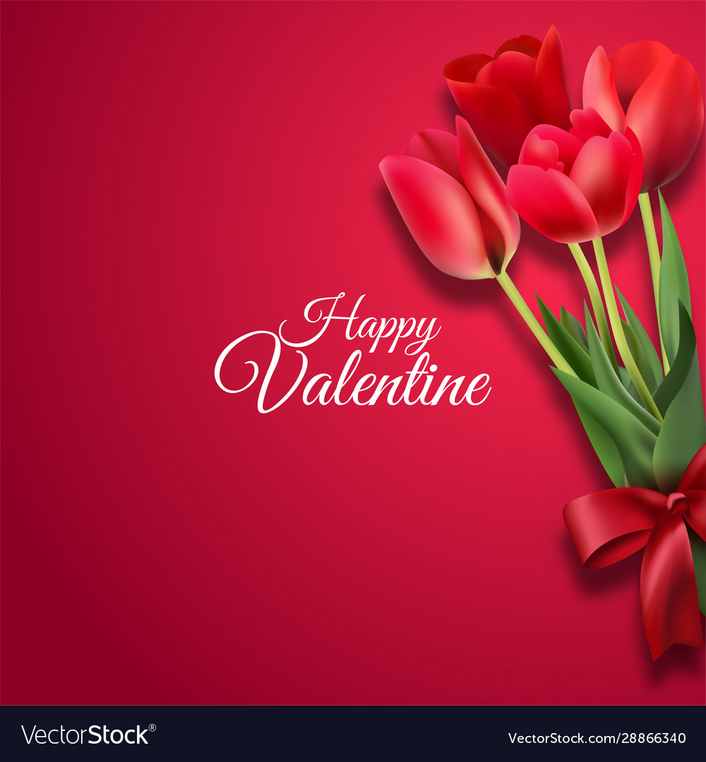 Happy valentines day greeting card with red roses Vector Image