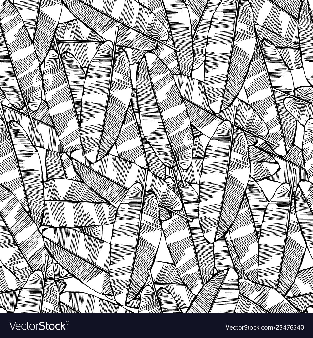 Nahtlose Bananenblatt Muster Hintergrund