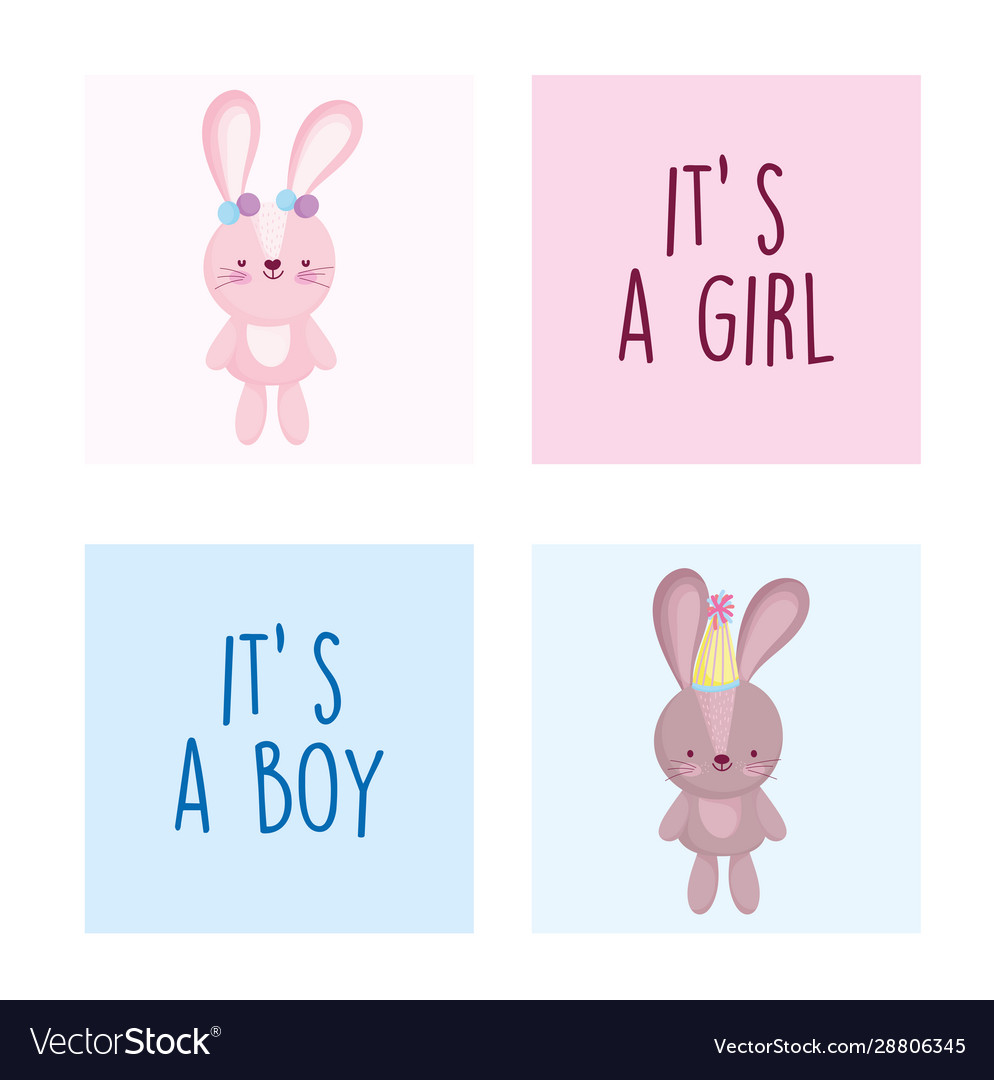 boy or girl gender