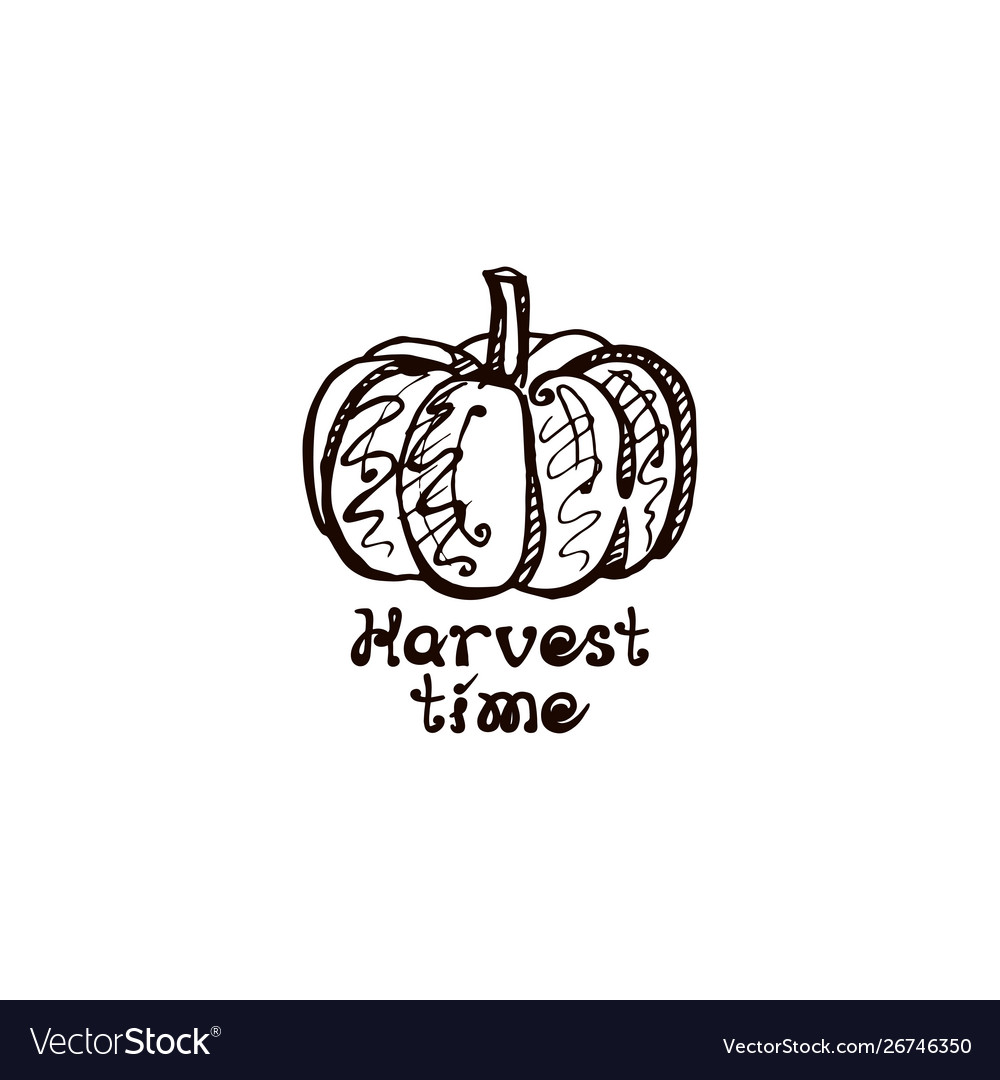 Autumn hand drawn pumpkin with lettering isolated