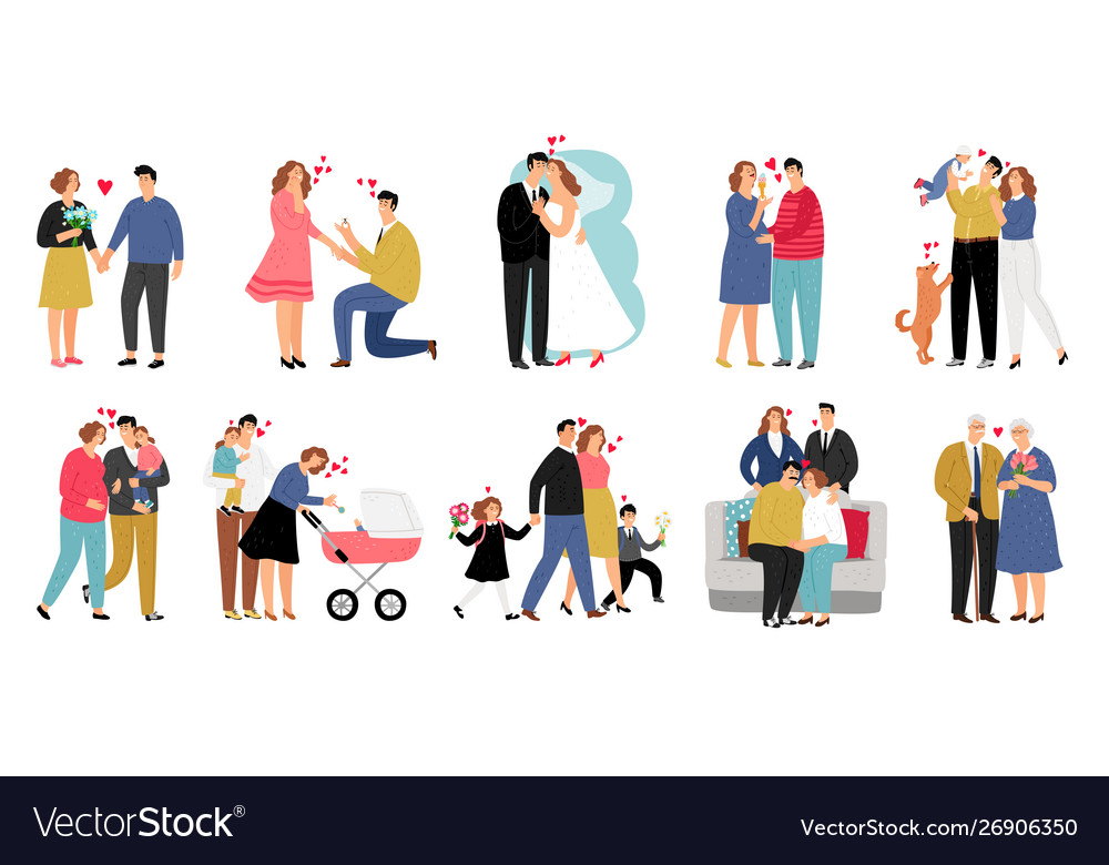 Stages family Royalty Free Vector Image - VectorStock