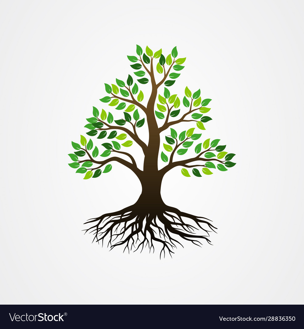 Tree with roots