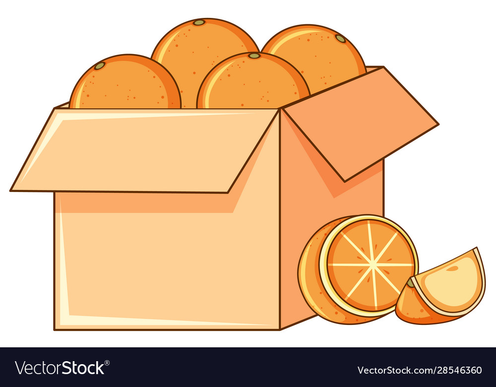 Box oranges on white background Royalty Free Vector Image