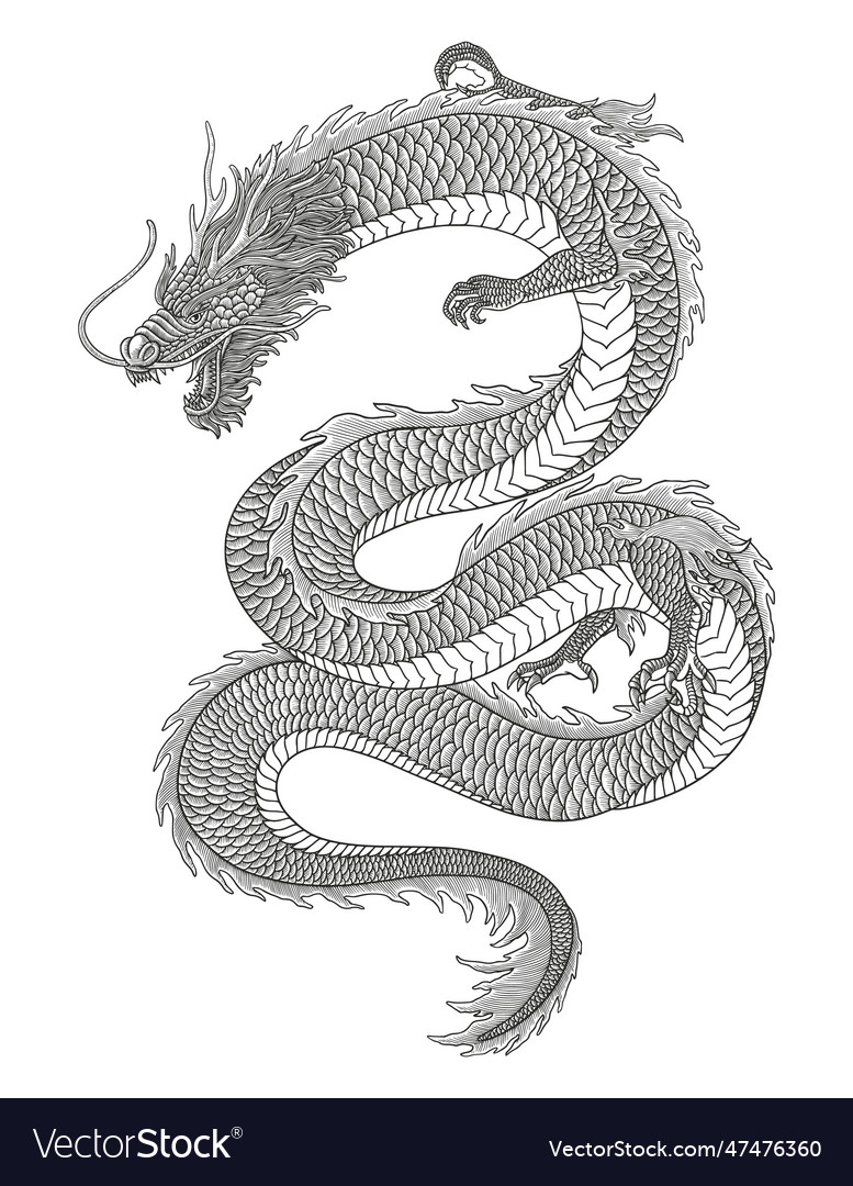 Japanese dragon vintage engraving drawing s Vector Image