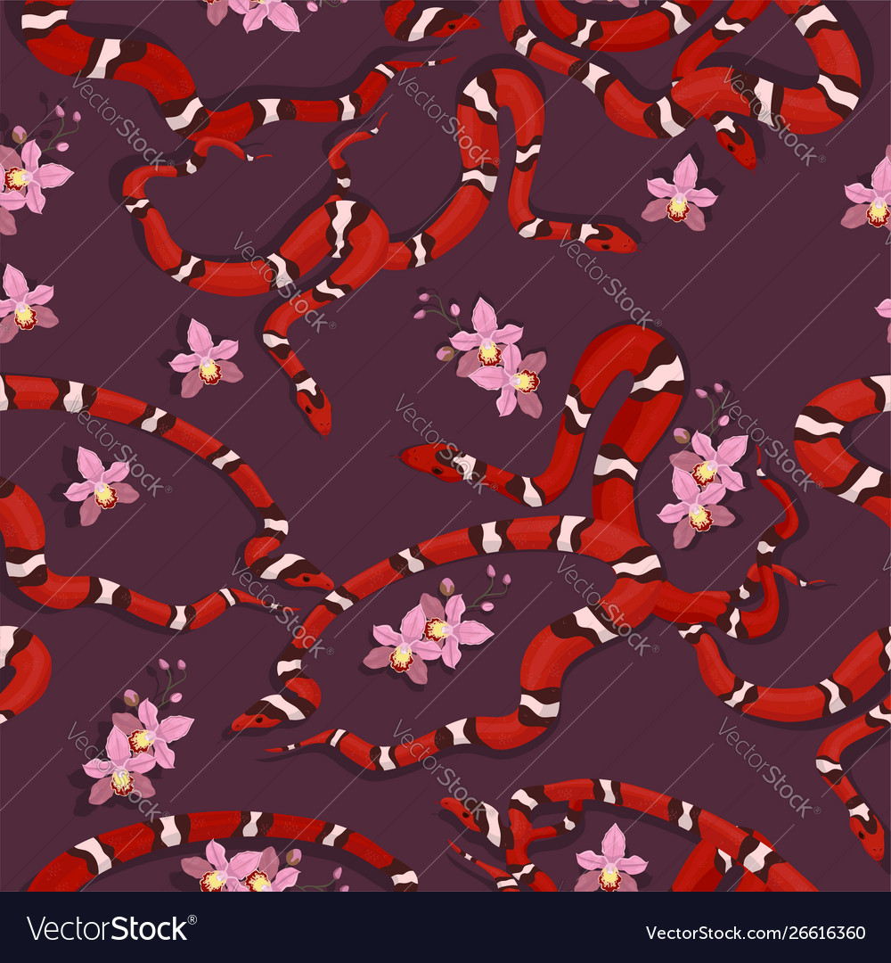 Milk Snakes & Orchids Pattern