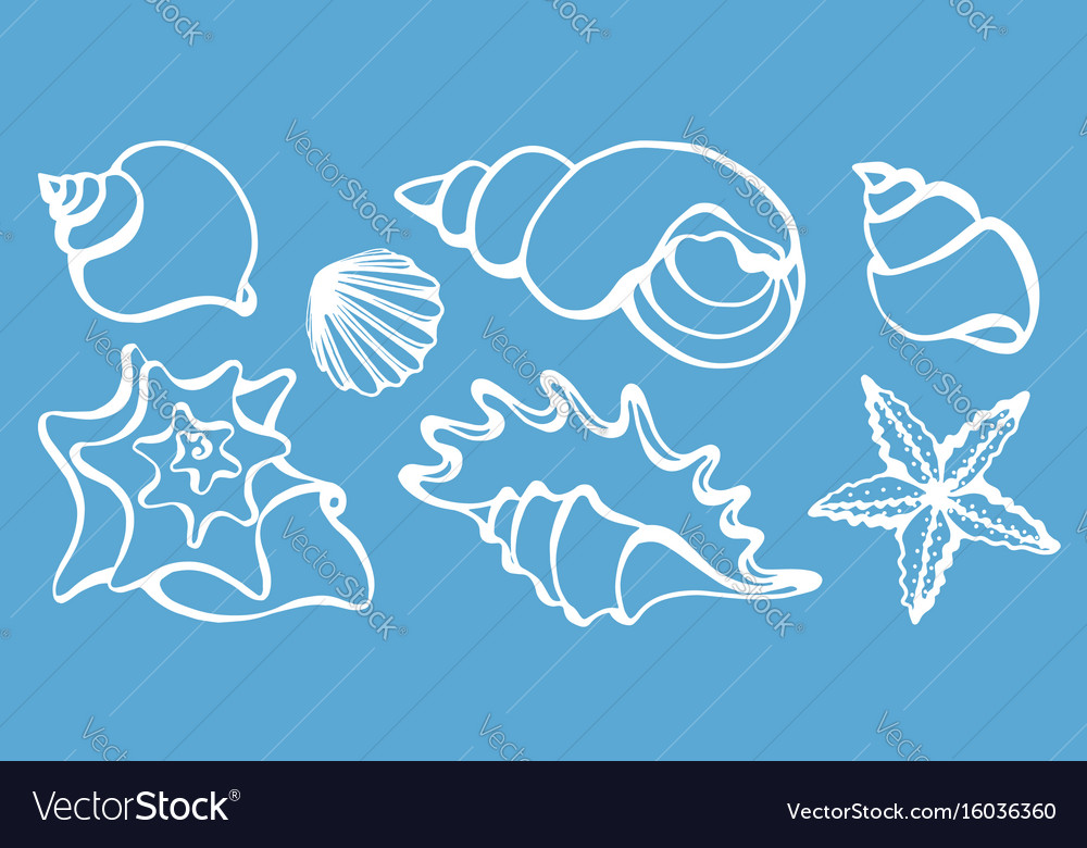 Set seashells