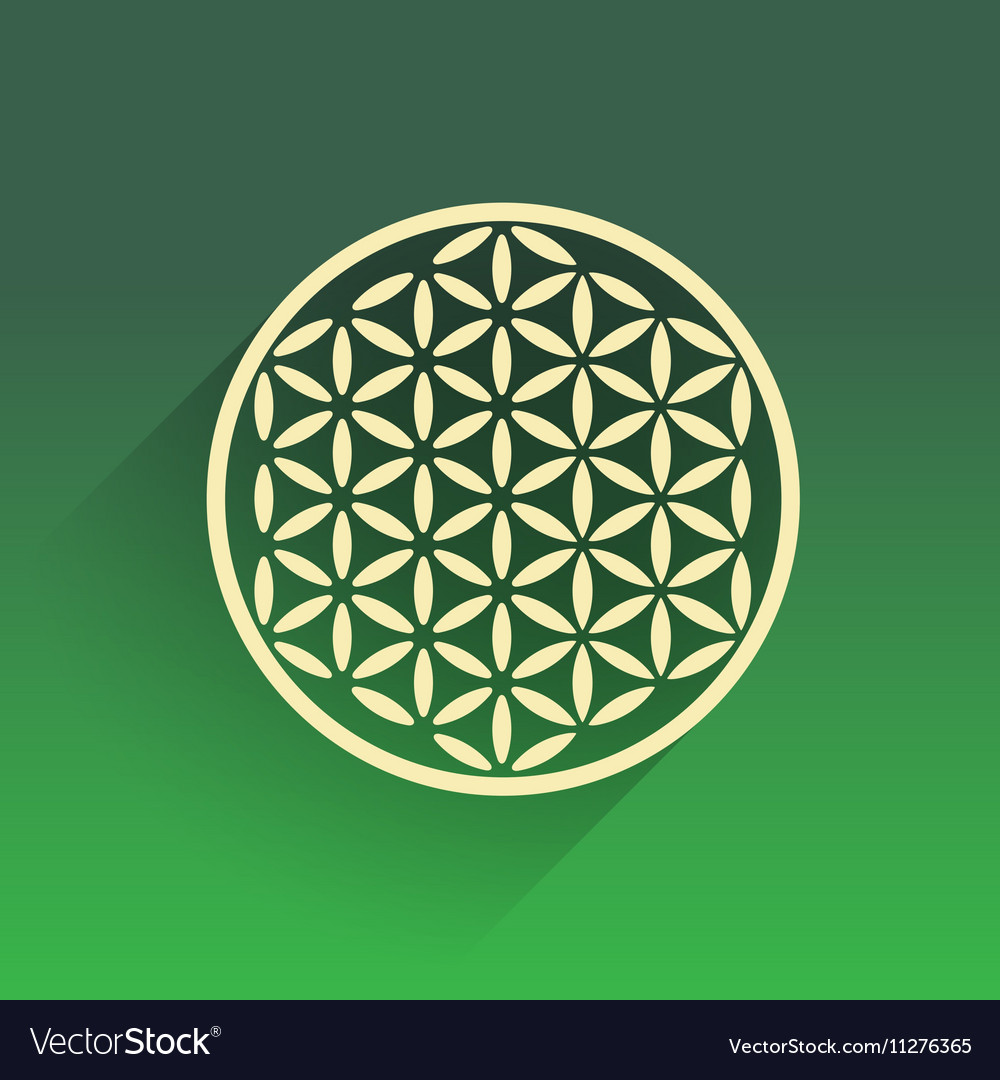 Flower of life Royalty Free Vector Image - VectorStock