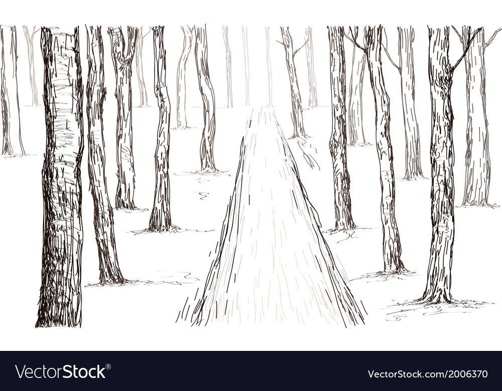 Forest drawing Royalty Free Vector Image - VectorStock