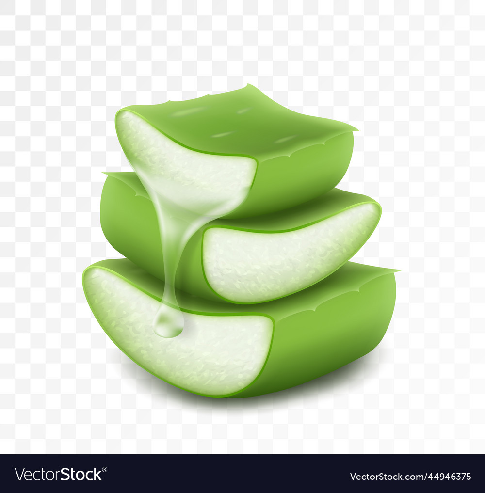 Essence from aloe vera plant drips stem