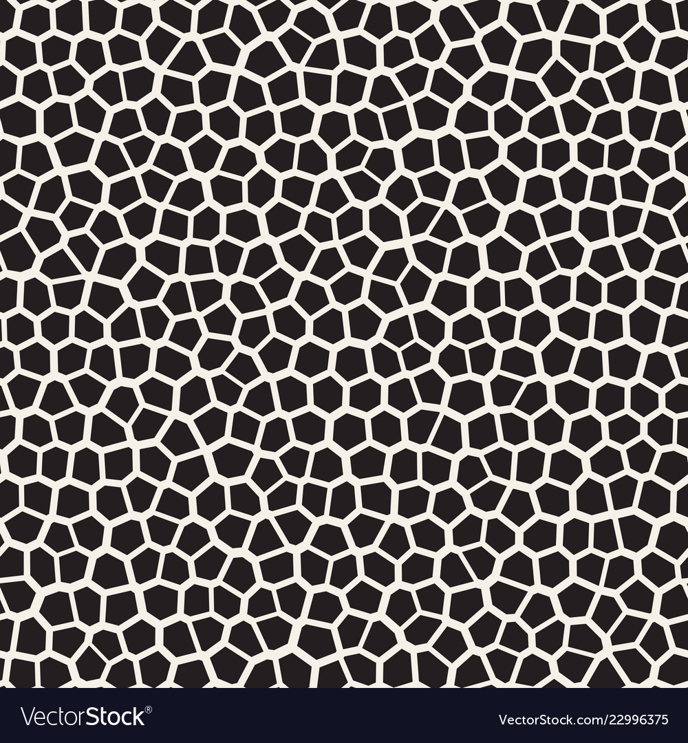 Irregular Mosaic Pattern