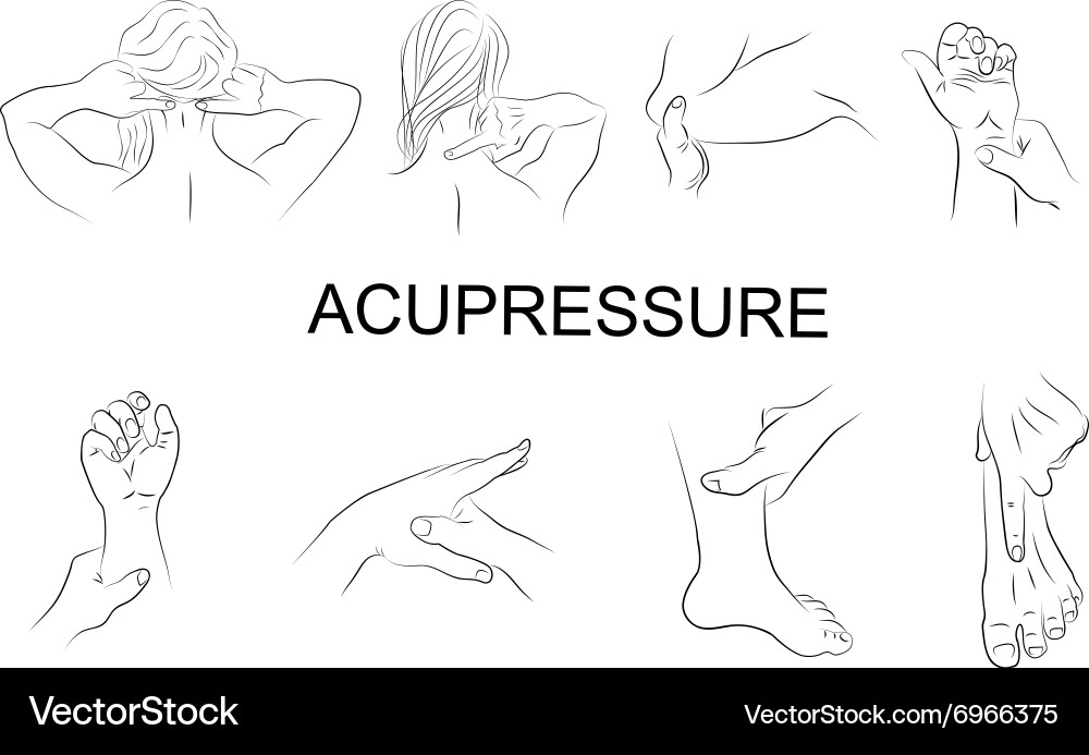 Point massage body parts Royalty Free Vector Image