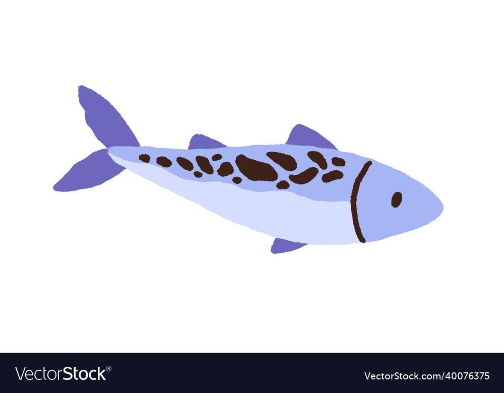 Raw fish with spots side view of whole tuna sea