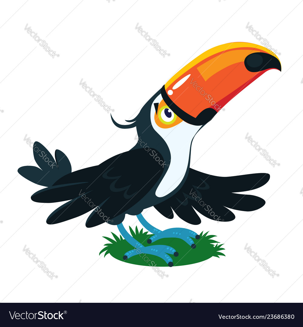 Toucan children of funny bird