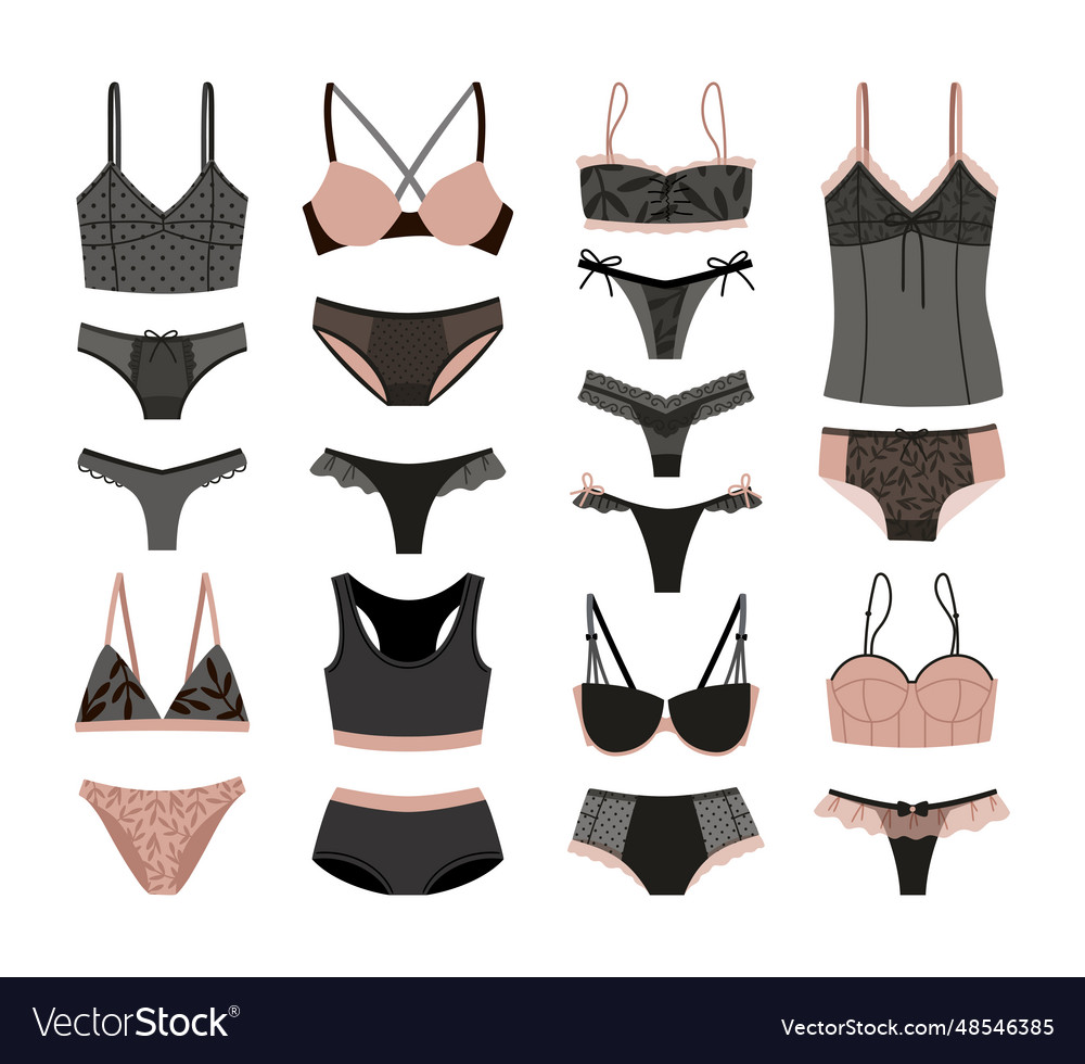 Kollektion von eleganten Damenunterwäsche trendy vector image Kollektion von eleganten Damenunterwäsche trendy