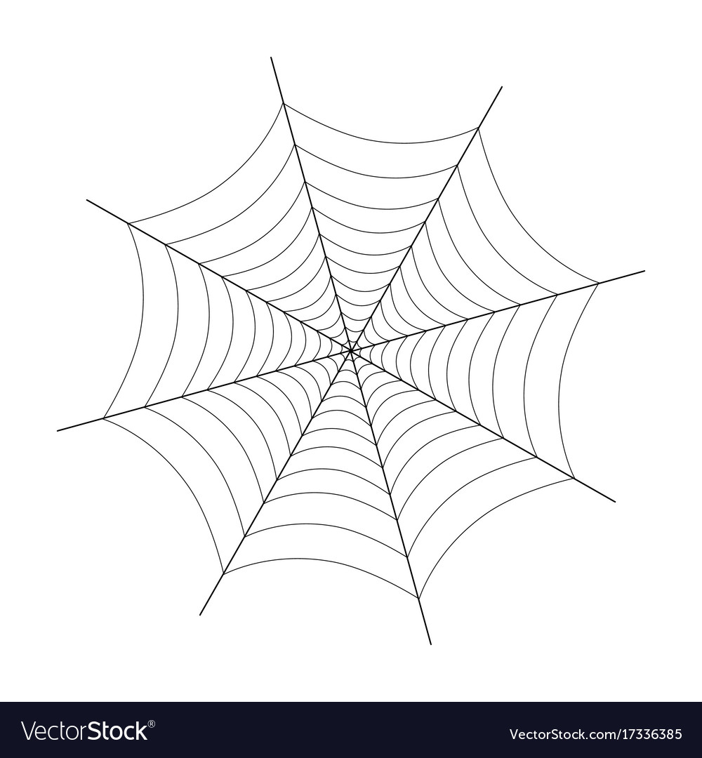 Spider web Royalty Free Vector Image - VectorStock