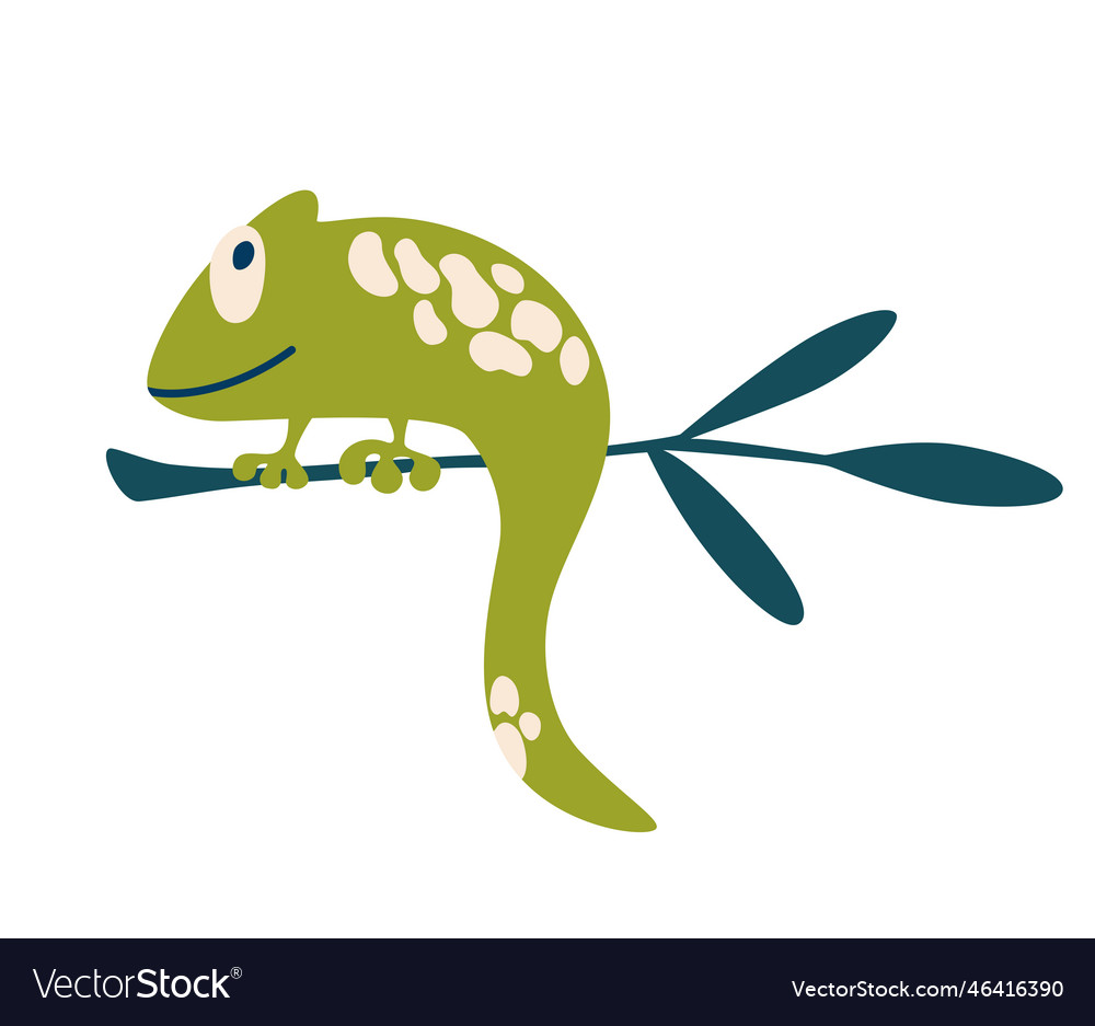 0190 chameleon Royalty Free Vector Image - VectorStock