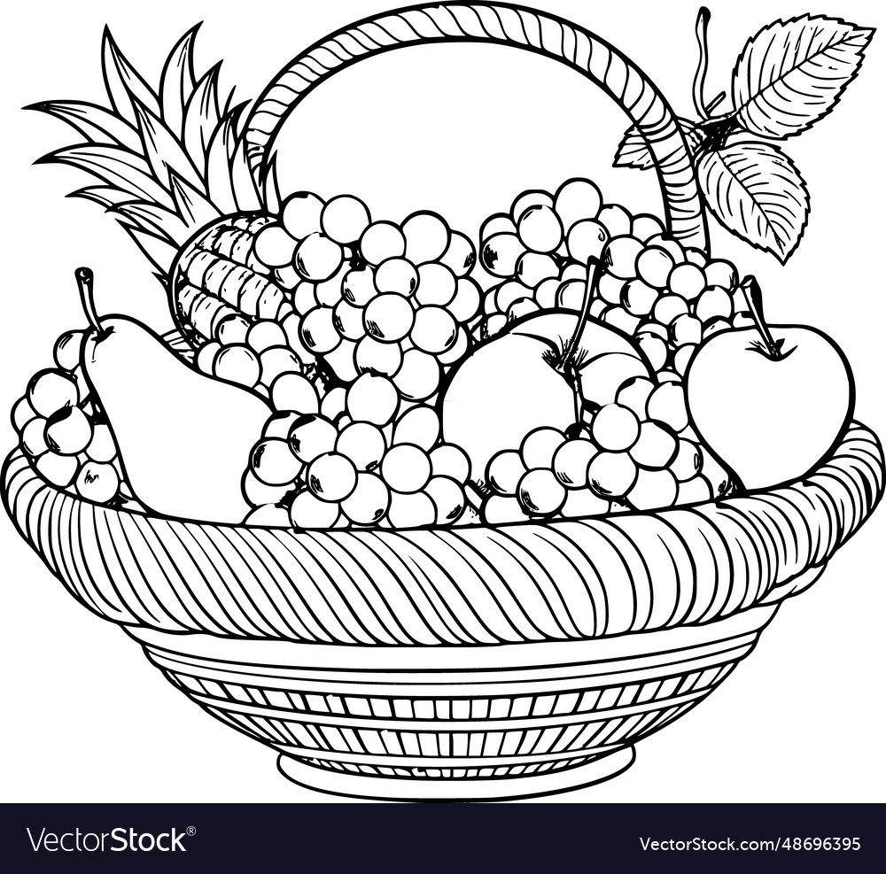 A black and white outline drawing of fruit Vector Image