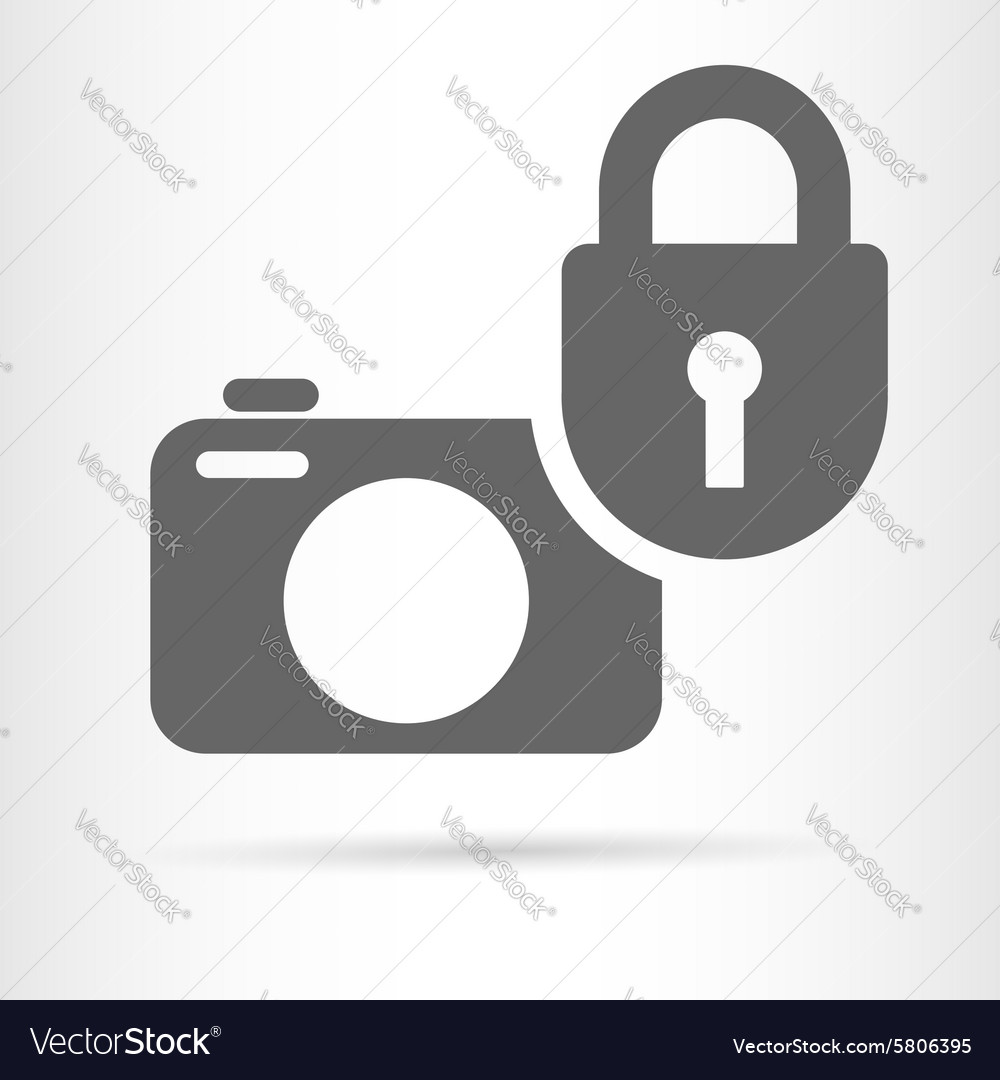 Digital camera security icon