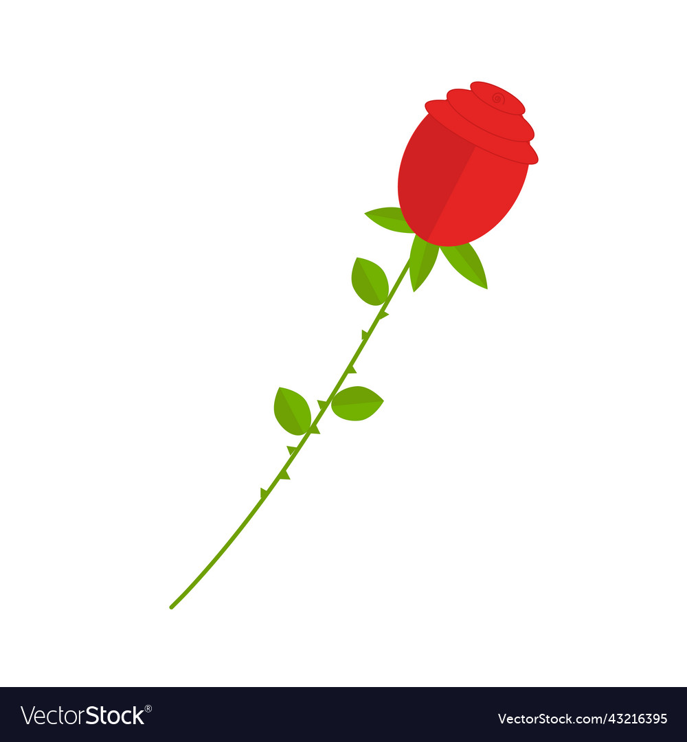 Red rose on long stem for use in web design vector image Red rose on long stem for use in web design