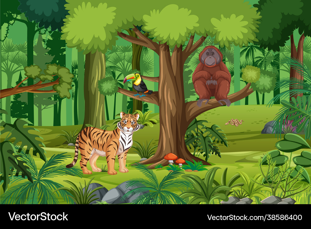 Jungle Scene With Animals New Baby Birth Details Nursery Jungle