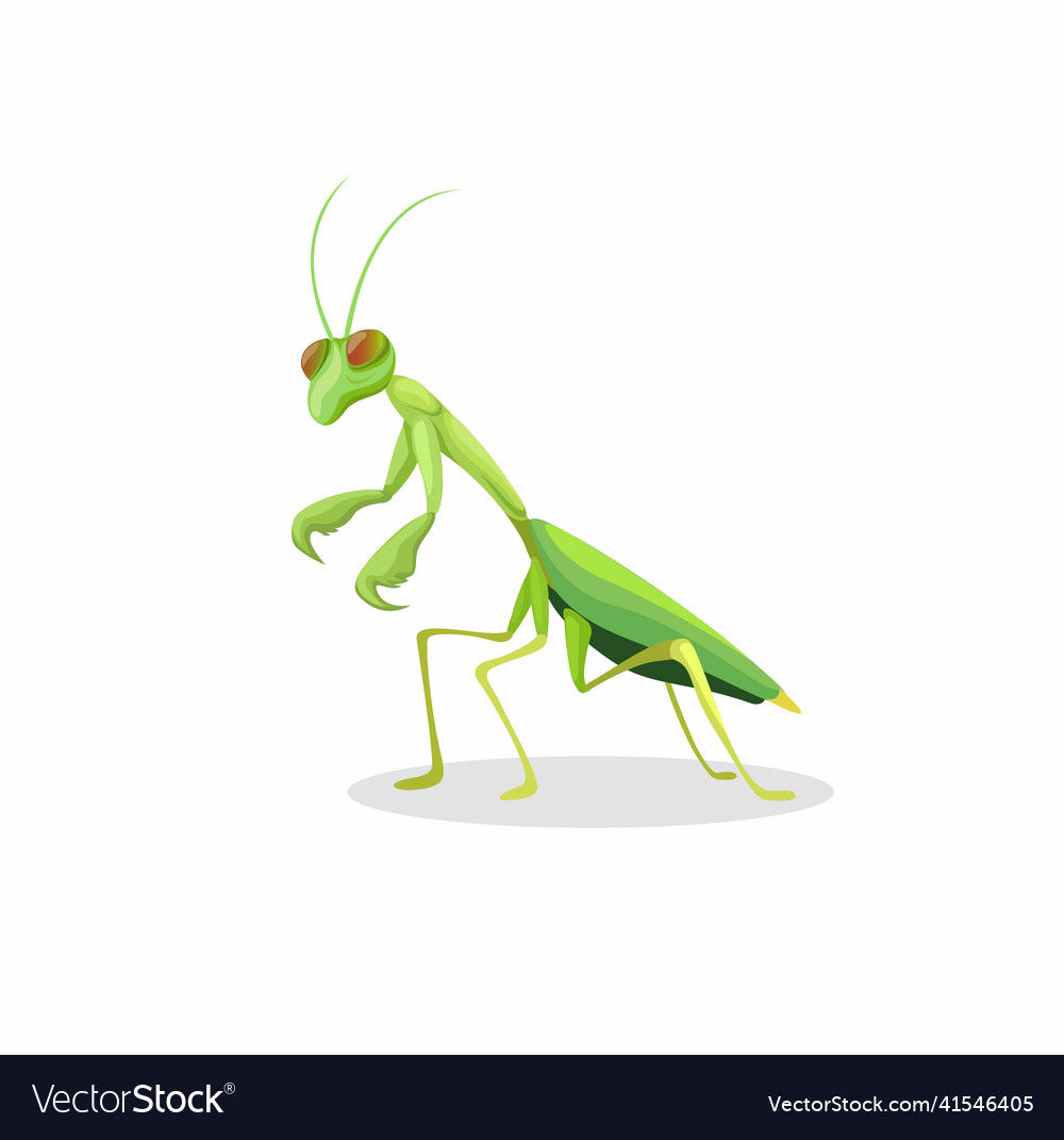 Pracht mantis Tierfigur Charakter