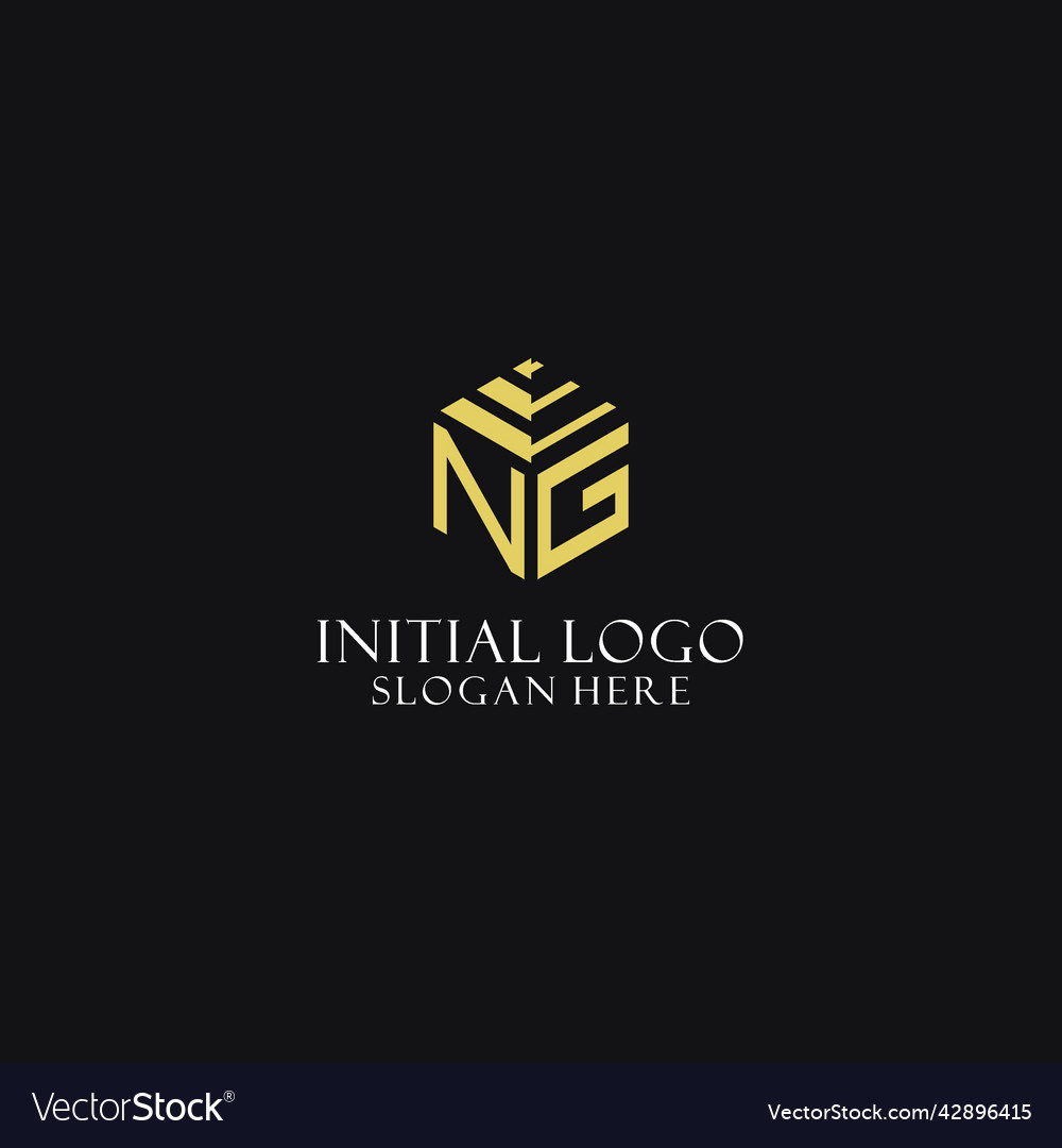 Ng initial monogram with hexagon shape logo