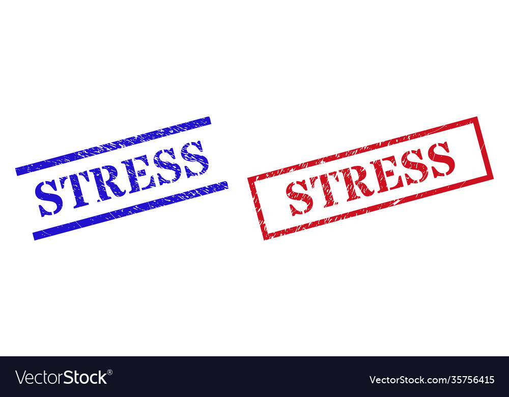 Stress grunge rubber seal stamps with rectangle Vector Image