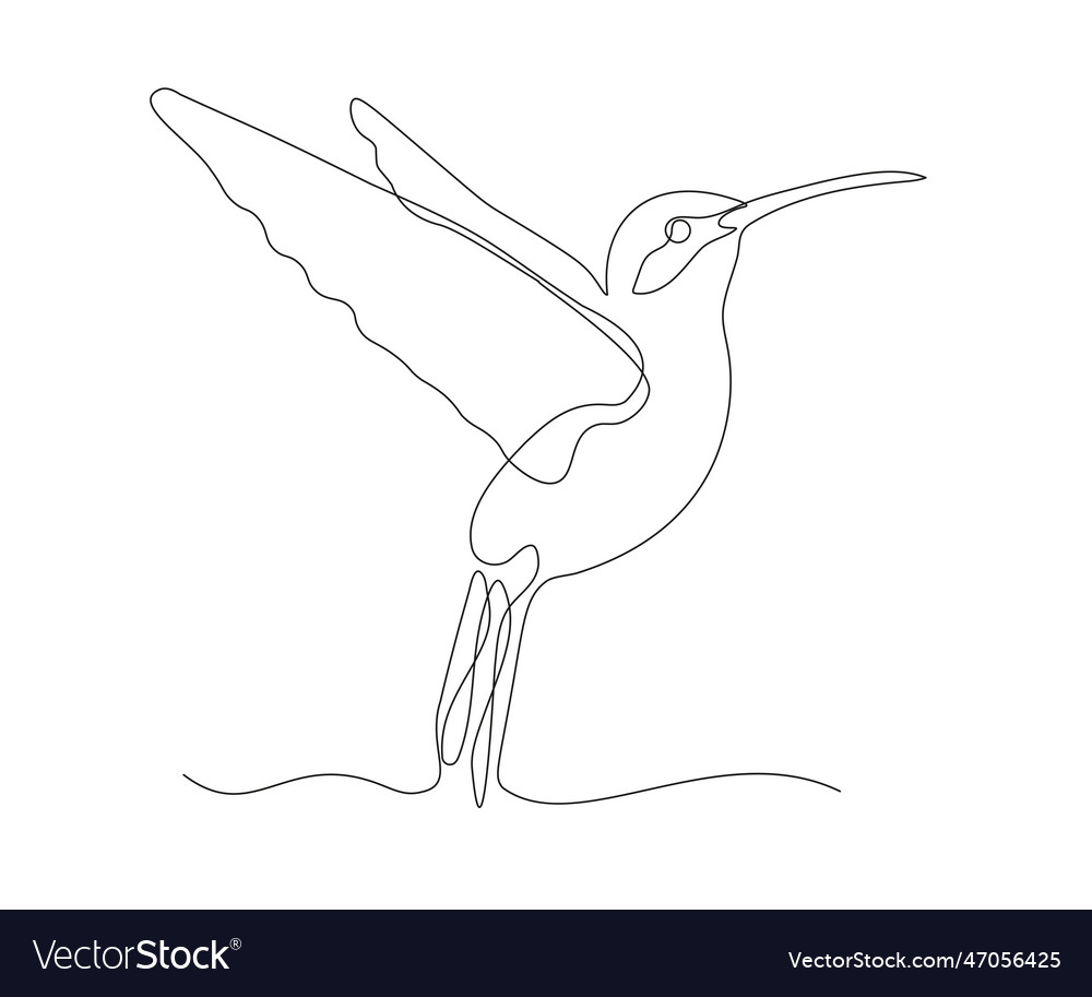 Abstract hummingbird continuous one line drawing
