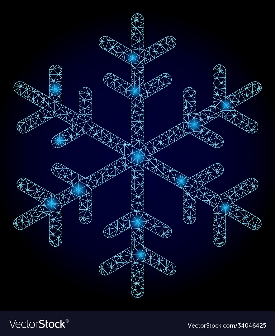 Bright web mesh snowflake with light spots Vector Image Bright web mesh snowflake with light spots