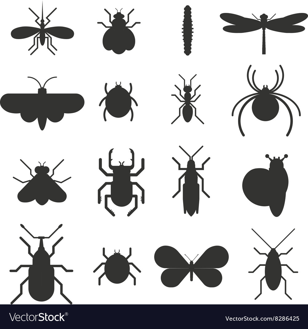 Insect icon black silhouette flat set isolated