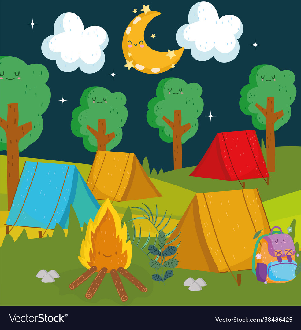 Night camping outdoors Royalty Free Vector Image