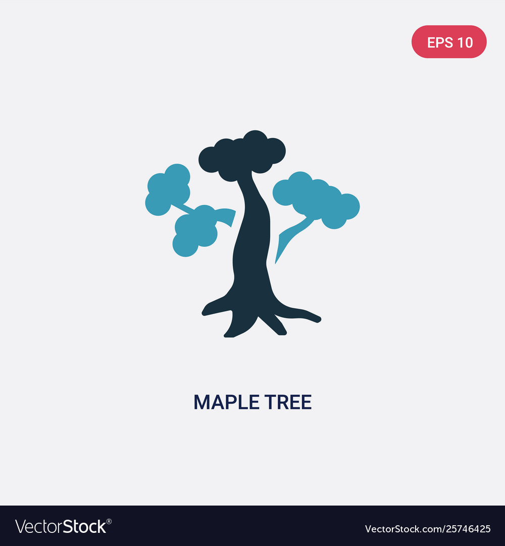 Two color maple tree icon from nature concept